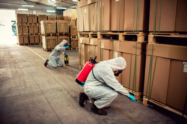 Best Local Pest Control Services  in Canyon Day, AZ