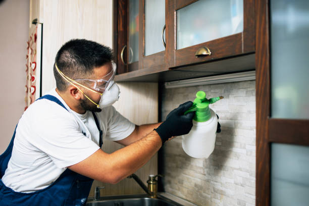 Best Exterminator Services  in Canyon Day, AZ