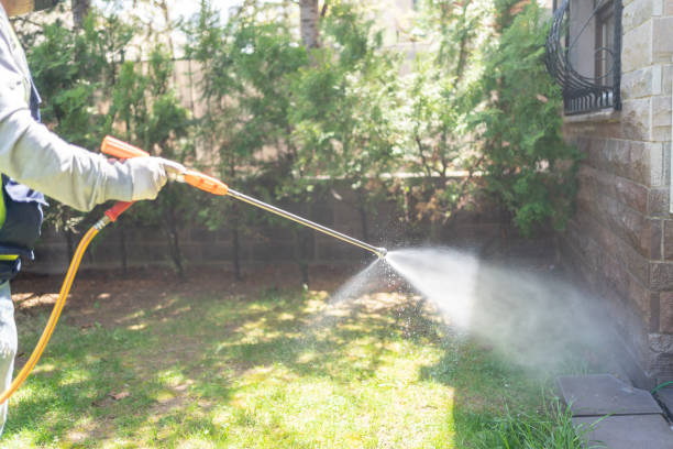 Reliable Canyon Day, AZ Pest Control Solutions