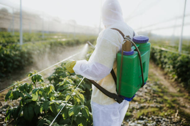 Best Best Pest Control Companies  in Canyon Day, AZ
